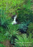 Stream and ferns in Dawyck botanical garden painted by Tina Holley