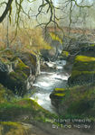 Highland stream, Tina Holley, watercolour, painting, Scotland